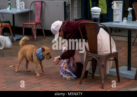 Una donna che alimenta il suo cane in un Cafe In High Street, Lewes, Sussex, Regno Unito Foto Stock