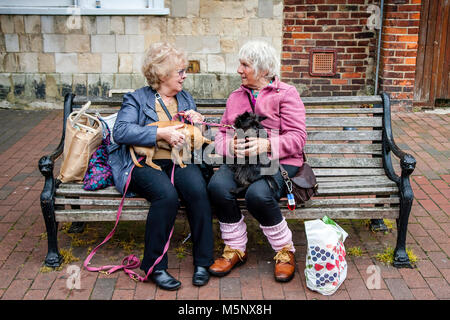 Due donne con i loro cani Sit in chat su un banco in High Street, Lewes, Sussex, Regno Unito Foto Stock