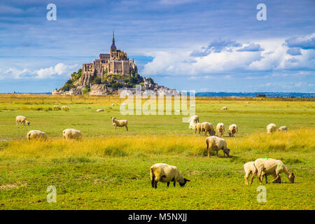 Bellissima vista del celebre storico Le Mont Saint Michel isola di marea con pecore al pascolo su campi di fresca erba verde in una giornata di sole con cielo blu e Foto Stock