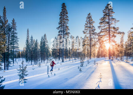 Vista panoramica dell'uomo sci di fondo su un tracciato in bella winter wonderland scenario in Scandinavia con scenic luce della sera al tramonto in win Foto Stock