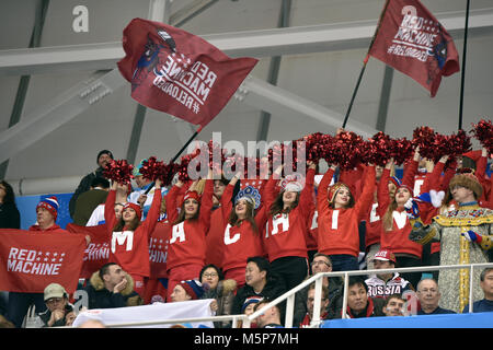 Il 25 febbraio 2018, Corea del Sud, Gangneung: Olimpiadi, Hockey su ghiaccio, mens, finali, OAR vs Germania, Gangneung Hockey Center: tifosi della squadra atleti olimpici dalla Russia (OAR) fare il tifo per la loro squadra e bandiere ondeggiano leggere "macchina d'. Foto: Angelika Warmuth/dpa Foto Stock