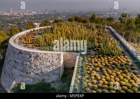 Il Cactus Garden al Getty Center in Brentwood , Los Angeles, California, Stati Uniti Foto Stock