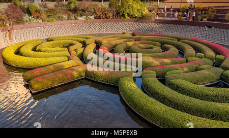 Il Getty Center giardini centrali che mostra il labirinto a spirale ,un labirinto flottante realizzato da azalee creato dall'artista Robert Irwin , Brentwood, Los Angeles . Foto Stock