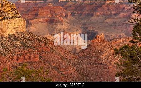 Sunrise al Grand Canyon, il Rising Sun raccoglie interessanti formazioni di roccia nei pressi di Yaki Point presso il Canyon South Rim, Arizona ,USA Foto Stock