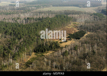 Aero, aria, bellezza, terra, campi, meteo, terra, molla, naturale, design naturale, animale, all'aperto, campo, paesaggio, stagione, la fauna selvatica, Foto Stock