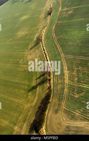 Aero, aria, bellezza, terra, campi, meteo, terra, molla, naturale, design naturale, animale, all'aperto, campo, paesaggio, stagione, la fauna selvatica, Foto Stock