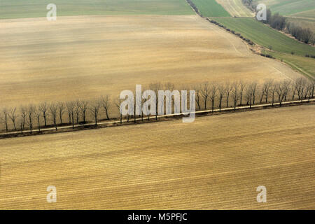 Aero, aria, bellezza, terra, campi, meteo, terra, molla, naturale, design naturale, animale, all'aperto, campo, paesaggio, stagione, la fauna selvatica, Foto Stock