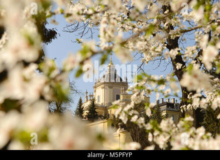 Di San Giorgio e cattedrale di Lviv, Ucraina Foto Stock