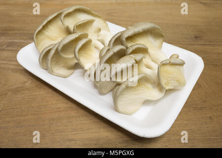 Oyster (fungo Pleurotus ostreatus) in bianco styrofoam vassoio per alimenti su sfondo di legno Foto Stock