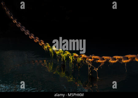 Catena arrugginito, catena riflessa sul mare Foto Stock