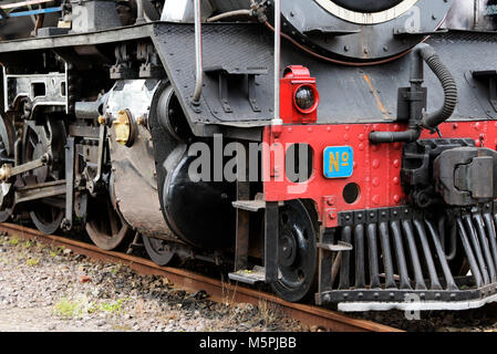 Durban, KwaZulu-Natal, Sud Africa, lampada, parti meccaniche, classe operaia 19D locomotiva a vapore, Inchanga Choo-Choo, Shongweni vapore, close-up, dettaglio Foto Stock