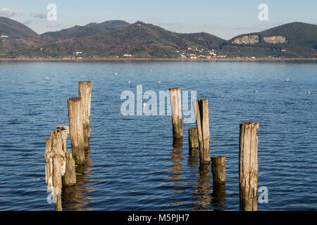 Vista del lago di Massaciuccoli da Torre del Lago Puccini, Lucca, Toscana, Italia Foto Stock