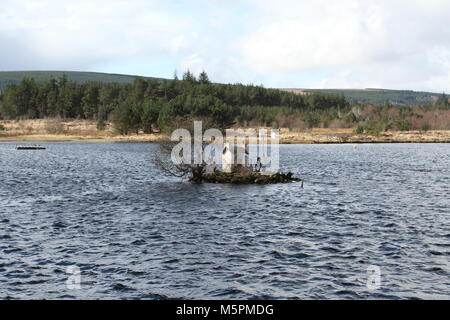 Wee casa o casa Broons sulla piccola isola in Loch Shin Lairg Scozia Marzo 2012 Foto Stock