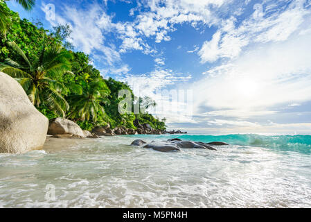 Incredibile meraviglioso paradiso tropicale con spiaggia di scogli di granito,palme e acqua turchese nella luce del sole ad anse georgette, Praslin, Seicelle Foto Stock