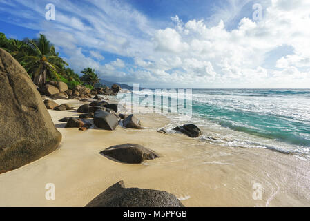 Bella wild tropical beach anse Marie-louise con rocce granitiche e palme nella sabbia delle Seychelles Foto Stock