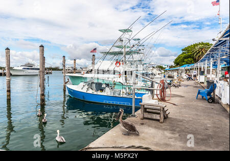 Barche da pesca ormeggiate al Bill Bird marina, Haulover Park, Miami, Florida, Stati Uniti d'America. Foto Stock