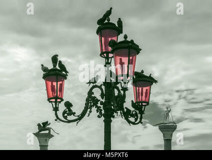 Un lampione con piccioni su di esso con la San Marco e di San Teodoro le colonne in backrgound, Piazza San Marco, Venezia, Italia. Foto Stock