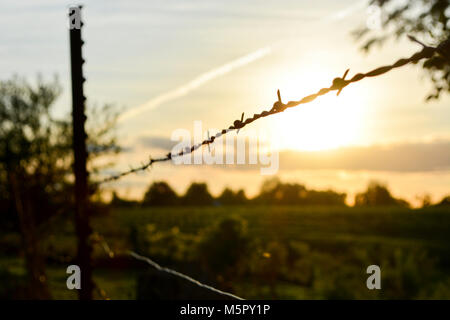 Filo spinato al tramonto in una fattoria in Rural Iowa Foto Stock