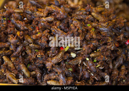 Primo piano di insetti arrosto venduto a un fornitore di prodotti alimentari stallo in Cambogia. Foto Stock