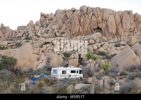 Rocce Jumbo Campeggio . Situato centralmente, Jumbo Rocks campeggio offre grandi opportunità per la codifica attorno ai massi Joshua Tree National Park è conosciuto per la. Cranio roccia Sentiero Natura anse vicino al campeggio, che conduce i visitatori tra le funzioni di roccia e piante autoctone della zona. Ci sono 124 singoli/siti di famiglia in questo campeggio. Sono tutte del primo arrivato primo servito. Sito 122 è accessibile con sedia a rotelle. Foto Stock