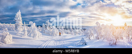 Vista panoramica del giovane uomo sci di fondo su un tracciato in bella winter wonderland scenario in Scandinavia con scenic luce della sera al tramonto Foto Stock