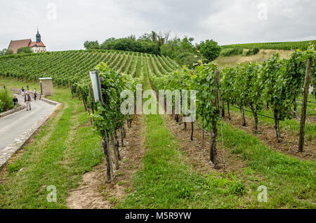 Franconia è una regione per la qualità del vino in Germania nel nord-ovest della Baviera nel distretto di Franconia. Essa è la sola regione del vino in Baviera. Foto Stock