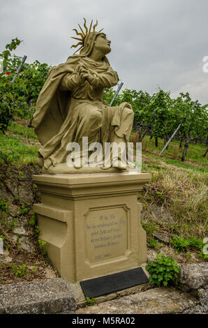 Franconia è una regione per la qualità del vino in Germania nel nord-ovest della Baviera nel distretto di Franconia. Essa è la sola regione del vino in Baviera. Foto Stock