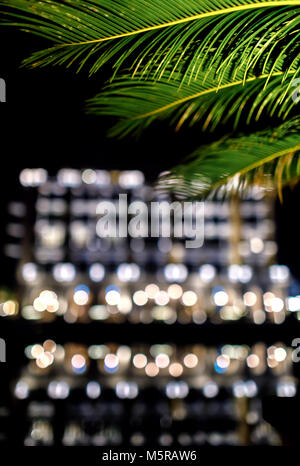 Palm tree di fronte defocalizzata bokeh city light Foto Stock