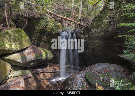 Cascate naturali a Dismals Canyon nella contea di Franklin, Alabama. Foto Stock