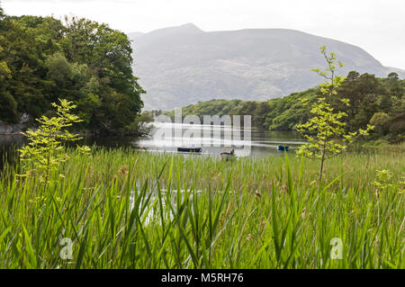 Alcune barche a remi ormeggiate sul lago Muckross e la montagna Shemy nel Parco Nazionale di Killarney vicino a Killarney, nell'Irlanda del Sud Foto Stock