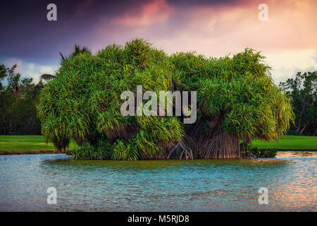 Bel Tramonto sul lago vicino al campo da golf in un resort tropicale in Punta Cana Repubblica Dominicana. Foto Stock