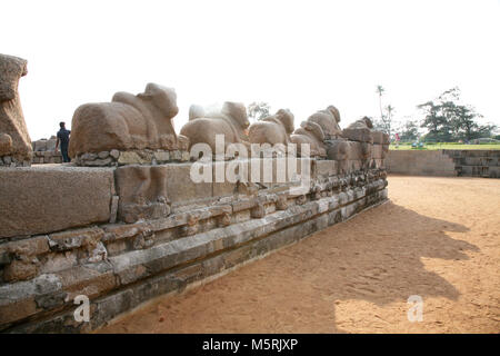 Shore Tempio Mamallapuram, India Foto Stock