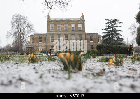 Londra, Regno Unito. Il 26 febbraio 2018. Regno Unito meteo. Neve a Stoke Newington, come il cosiddetto 'bestia da est' arriva. Il giallo di crochi nella neve in Clissold Park con Clissold casa sullo sfondo. Credito: Carol moiré/Alamy Live News. Foto Stock