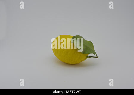 Limone su sfondo bianco, photo studio Foto Stock