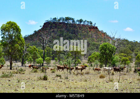 OUTBACK AUSTRALIANO PAESAGGI Foto Stock