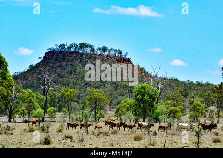 OUTBACK AUSTRALIANO PAESAGGI Foto Stock