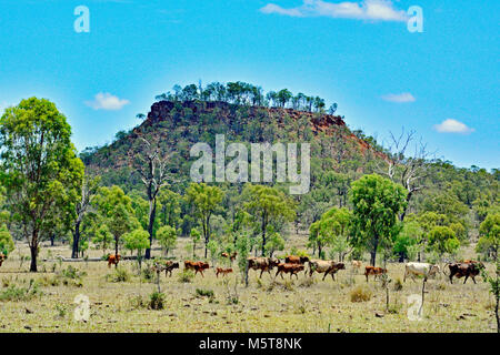 OUTBACK AUSTRALIANO PAESAGGI Foto Stock