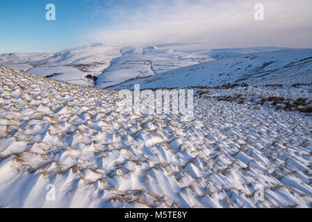 Nevoso inverno mattina nelle colline del Peak District. Snow drifting su tussocks della brughiera di erba a sud di testa, Hayfield. Vista di Kinder Scout. Foto Stock
