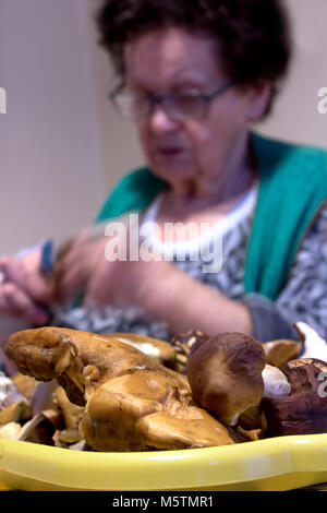 Nonna con bicchieri puliti i funghi freschi. La donna senior si sta preparando per la cottura dei funghi. Preparazione di funghi per essiccazione e conservazione. Foto Stock