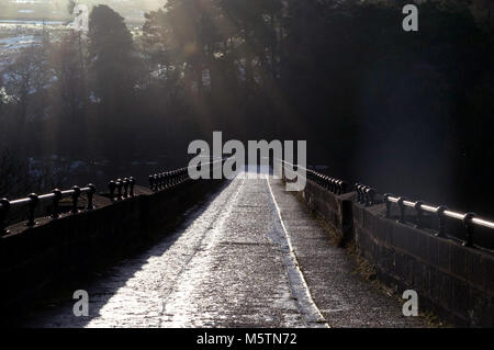 Ghiaccio su Lambley Viaduct, Sud Tyne Trail, Northumberland / Cumberland Foto Stock