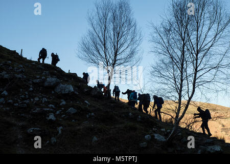 Ramblers gruppo di escursionisti persone escursionismo fino alla cima di una collina in linea in silhouette laterale. Abergwyngregyn, Gwynedd, Wales, Regno Unito, Gran Bretagna Foto Stock