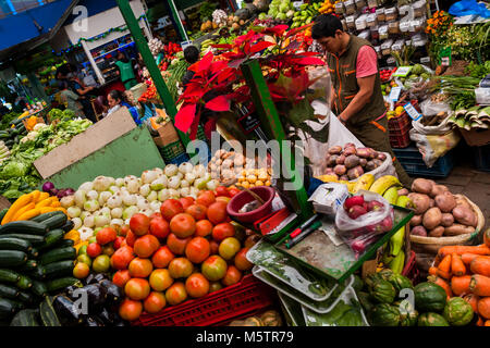 Un fornitore colombiano avvolge il fiore poinsettia al mercato di Paloquemao di Bogotá, in Colombia. Foto Stock