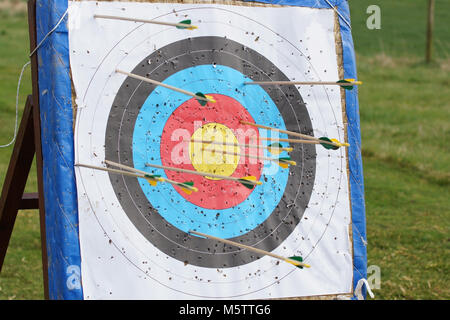 Campo di tiro con l'arco bersaglio con una serie di frecce in legno fuori di essa Foto Stock