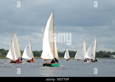 Flotta di barche racing verso Tarmonbarry durante un raid a vela sul fiume Shannon, Irlanda. Marinaio francese Patrick Morvan è helming verde della barca. Foto Stock