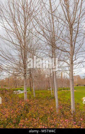 Giorno urbano scena invernale al distretto di Arganzuela park, Madrid, Spagna Foto Stock