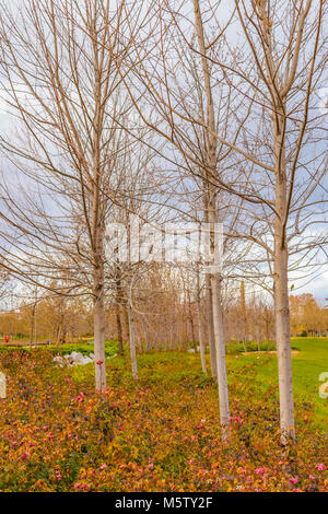 Giorno urbano scena invernale al distretto di Arganzuela park, Madrid, Spagna Foto Stock