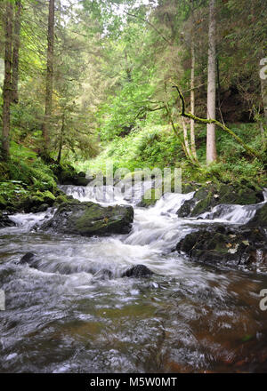 Bellissimi ruscelli con acqua corrente veloce tra la foresta. Preso all'interno delle foreste della Foresta Nera, Germania Foto Stock