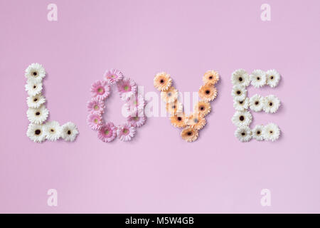 La parola amore fatta da diversi fiori di gerbera Foto Stock