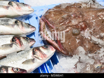 Fresco pesce crudo su un mercato del pesce in stallo. Raffreddato con ghiaccio pesce. Salmone fresco o trote trote e pesce gatto. Materie di cottura Ingredienti. Strada del mercato o al supermercato. Foto Stock