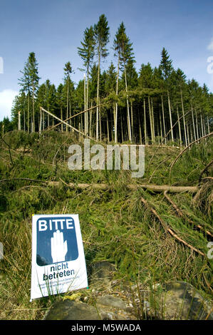 Danni provocati dalla tempesta dopo la tempesta Kirill nel 2007, Meinerzhagen, Renania settentrionale-Vestfalia, Germania, Europa Foto Stock